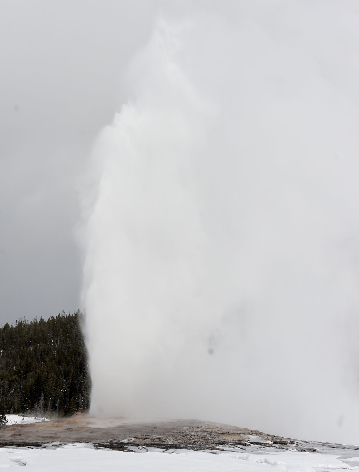 Old Faithful